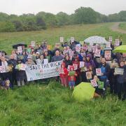 Campaign - Friends of Middlewick and Save the Wick are fighting to save the county's largest nightingale population