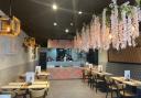 Dining- Sushi Co.'s interior with decorative blossoms and organised seating.
