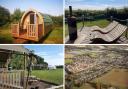 Camping - (Clockwise top left) The Pretty Thing campsite, Lee Wick Farm Cottages and Glamping,  Alresford village, and Woodchests Glamping
