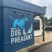 Pub - the Dog and Pheasant