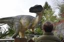 Lifelike – some of the dinosaurs are five metres tall