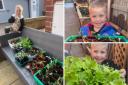 Farmer - George, 5, and his plants