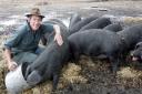 Richard Browning’s pigs are living on borrowed time due to falling meat sales