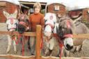Plan to bring donkey rides back to the seafront