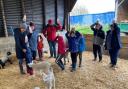 Easter joy - a group of people feeding the lambs