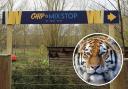 New outlet - Chip 'n Mix Stop has opened next to the zoo's Amur tigers
