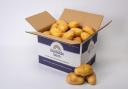 Produce - A box of Fairfields potatoes