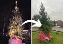 Before and after - Boxted village Christmas tree