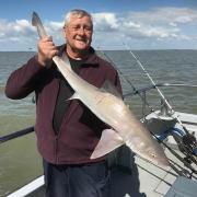 Smoothhound success: a typical-size smoothhound for Bill Davies, caught from the Sophie Lea.