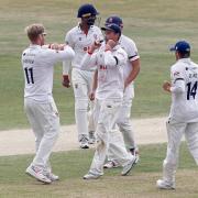 Celebration time - Essex's Simon Harmer (left) celebrates taking Surrey's Scott Borthwick's wicket with his team-mates Picture: GAVIN ELLIS TGS PHOTO
