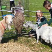 Farmyard visitors help raise the baa and provide a day of fun for pupils