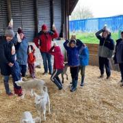 Easter joy - a group of people feeding the lambs