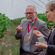 Local produce - the Mayor and Mayoress of Colchester sample Tiptree strawberries CREDIT: Gemma Lightly