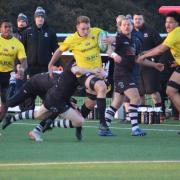 Gripping stuff - Colchester Rugby Club (yellow shirts) take on Bedford Athletic Picture: STEVE HUMBLE