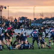 Derby duel - Colchester Rugby Club take on Sudbury Picture: JAMCEL PHOTOS