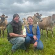 Come and try it - Tim and Sophie Gurton with their cows in Wormingford
