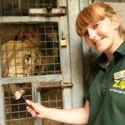 Here's all the job vacancies currently available at Colchester Zoo - how to apply