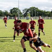 Gripping stuff - Colchester Rugby Club take on Letchworth