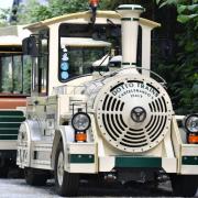 Temporary closure - the Lost Madagascar Train at Colchester Zoo