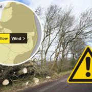 A yellow weather warning for wind has been issued for parts of Essex