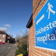 Site - Colchester Hospital has had a number of pest complaints