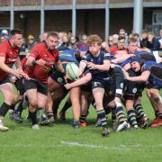 In charge - Colchester Rugby Club take on Hertford in their final game of the season