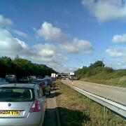 Stuck - queuing traffic on the A12 today. Picture: JULIE LEEK