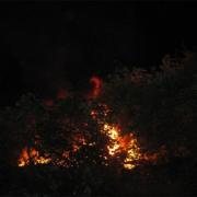 Manningtree: Pictures of caravan blaze