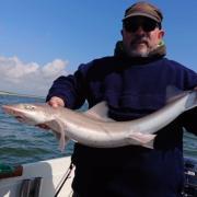 Great trip: Alan Tipple launched from Gunfleet Boating Club and landed smooth hounds to 11.5lbs.