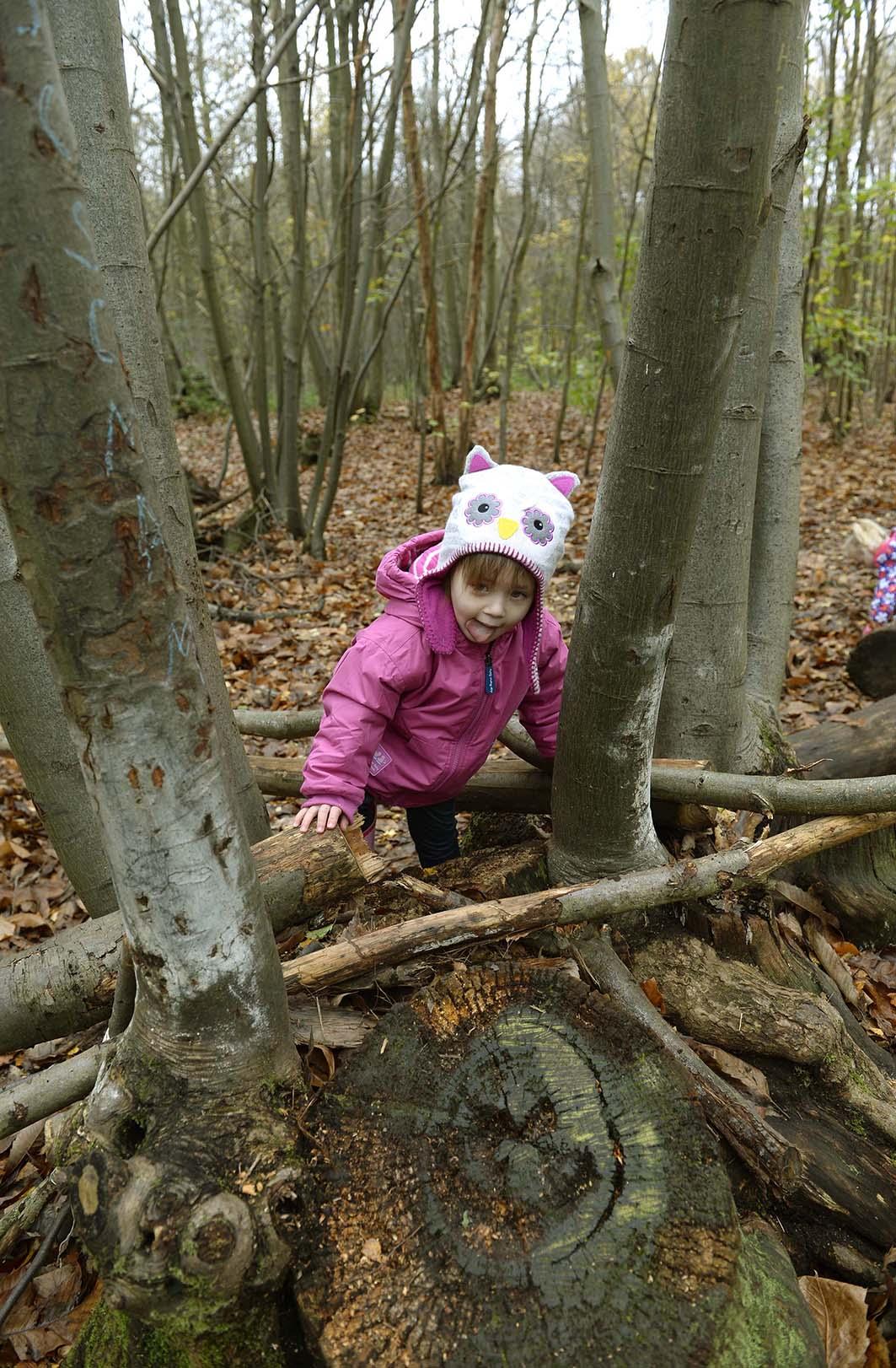Family Forest Fun Highwoods