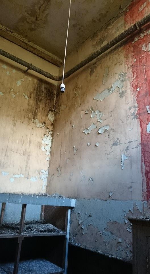Pictures taken inside the derelict former Odeon cinema in Crouch Street, Colchester, by Darius Laws