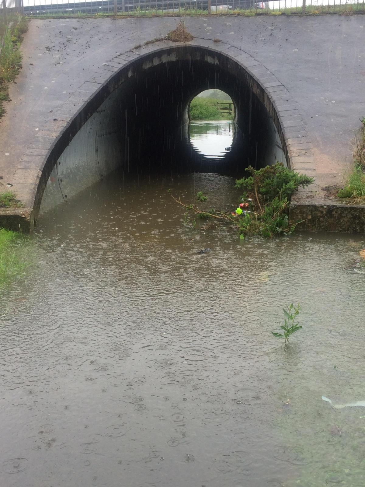 Underpass by Westway. Picture by Lucy Smith