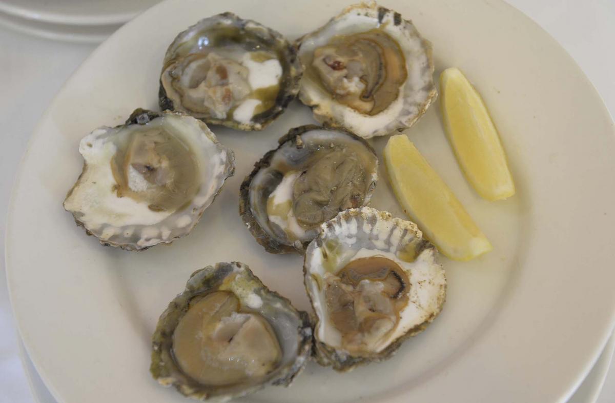 Colchester Oyster Feast