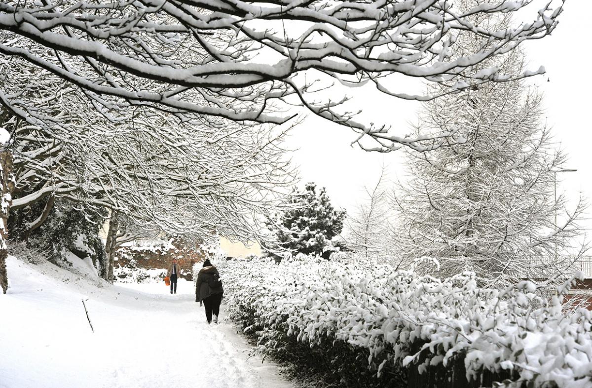 Snow Weather North Essex