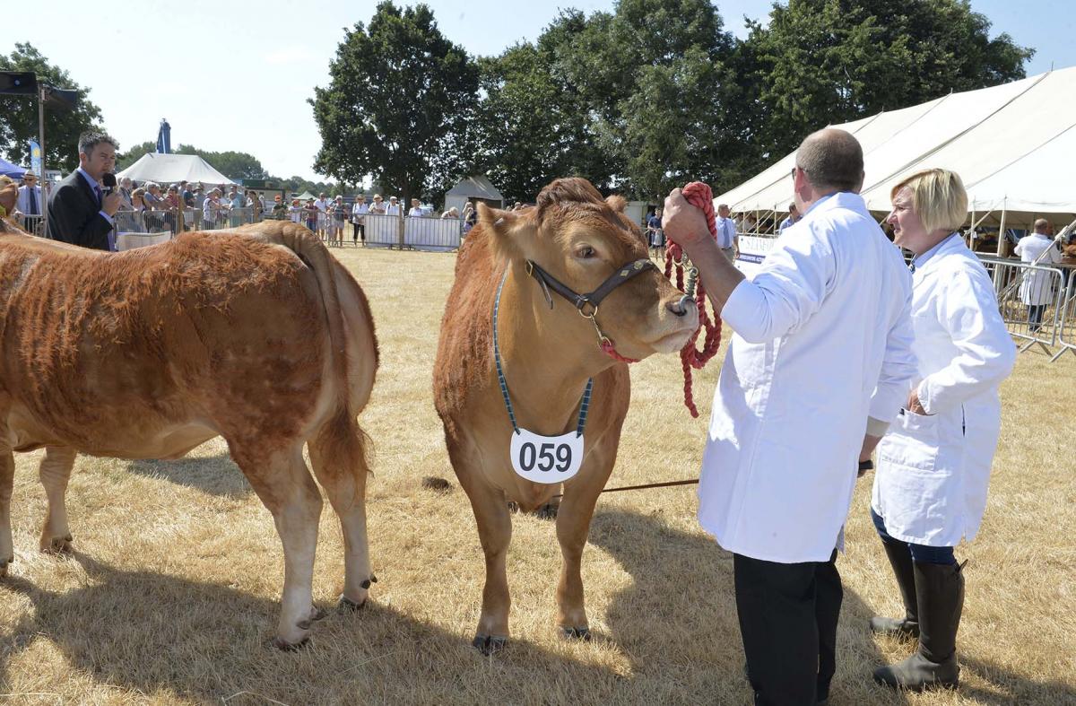 Tendring Show 2018