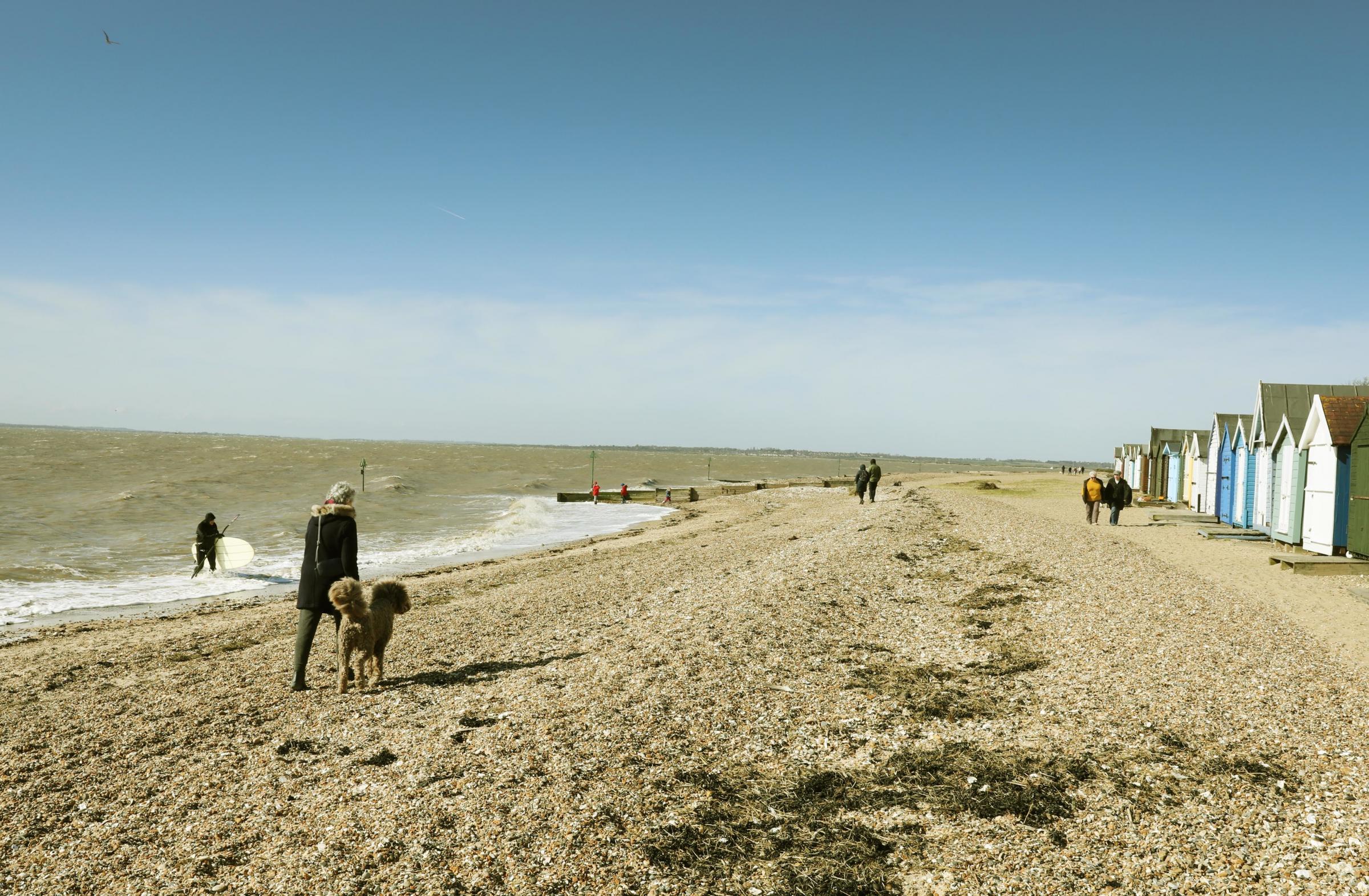 West Mersea activities while keeping a careful spacing..Dog walking on a very quiet beach.