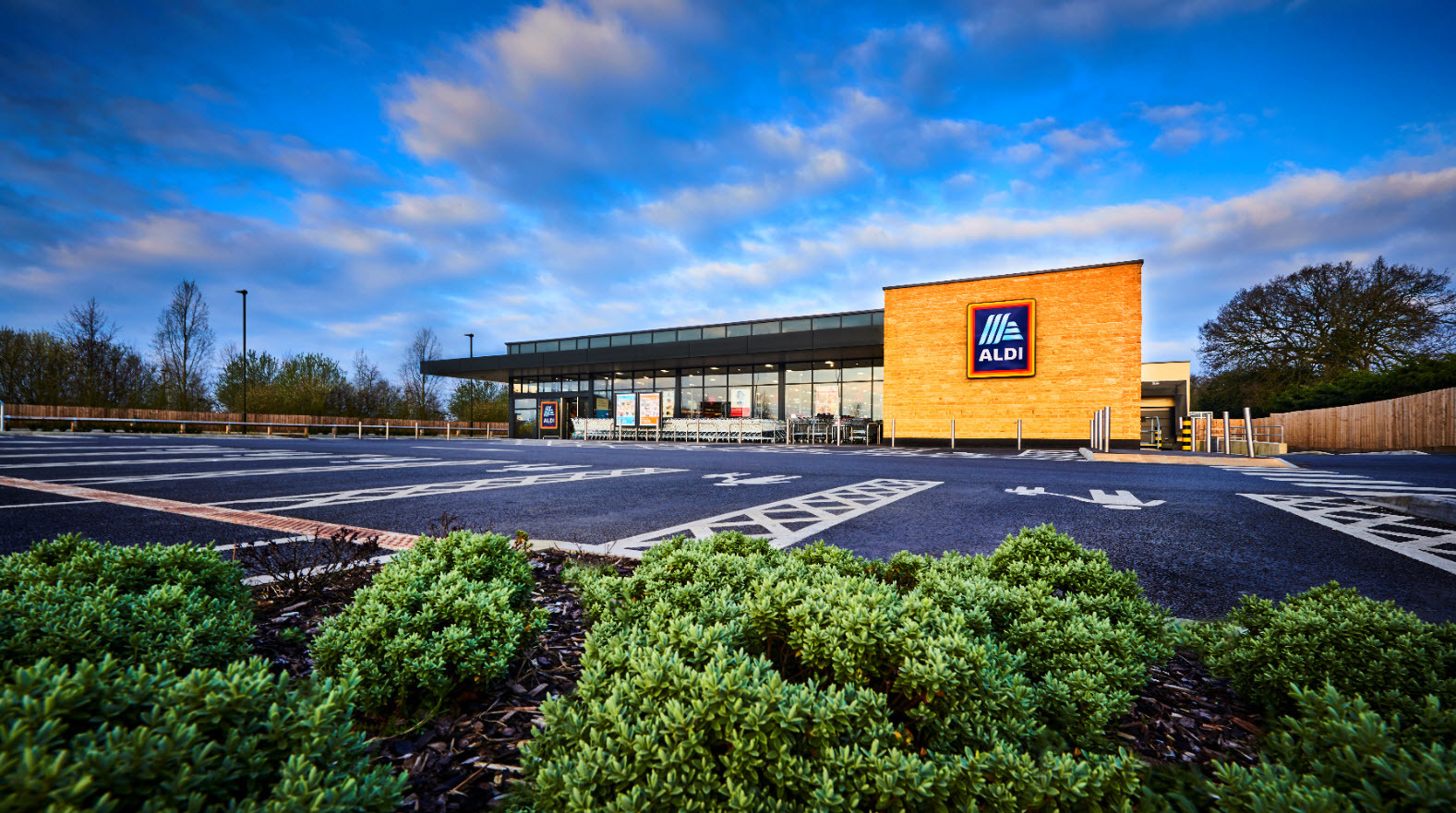 Aldi looking for new site for supermarket in Colchester
