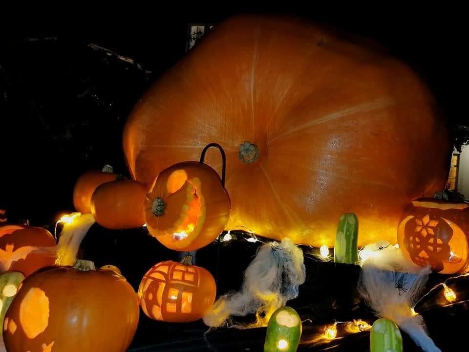 Monster 613lb giant pumpkin on display in time for Halloween | Gazette