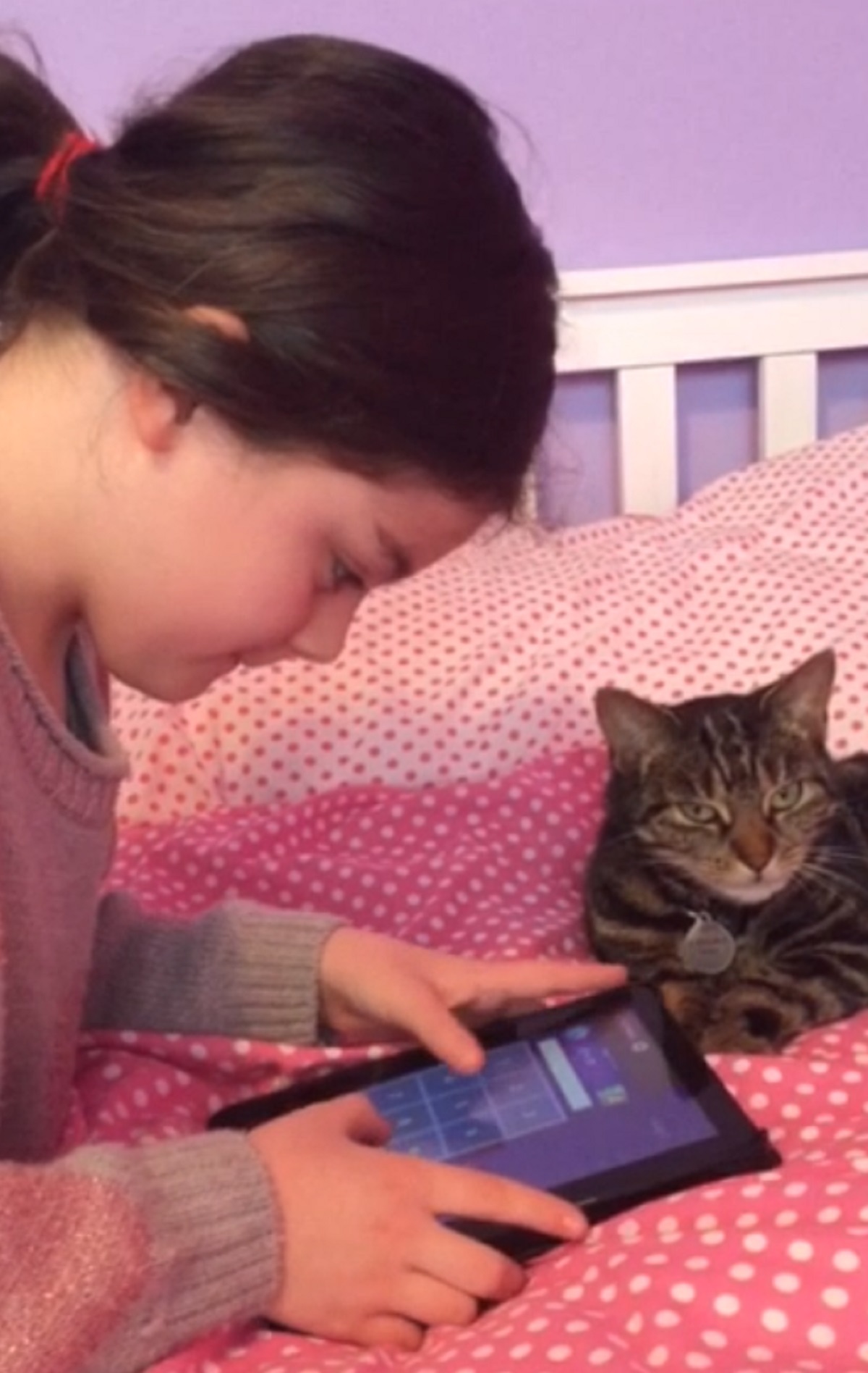 Feline great - Katie Morey with cat Nala, helping with her home learning