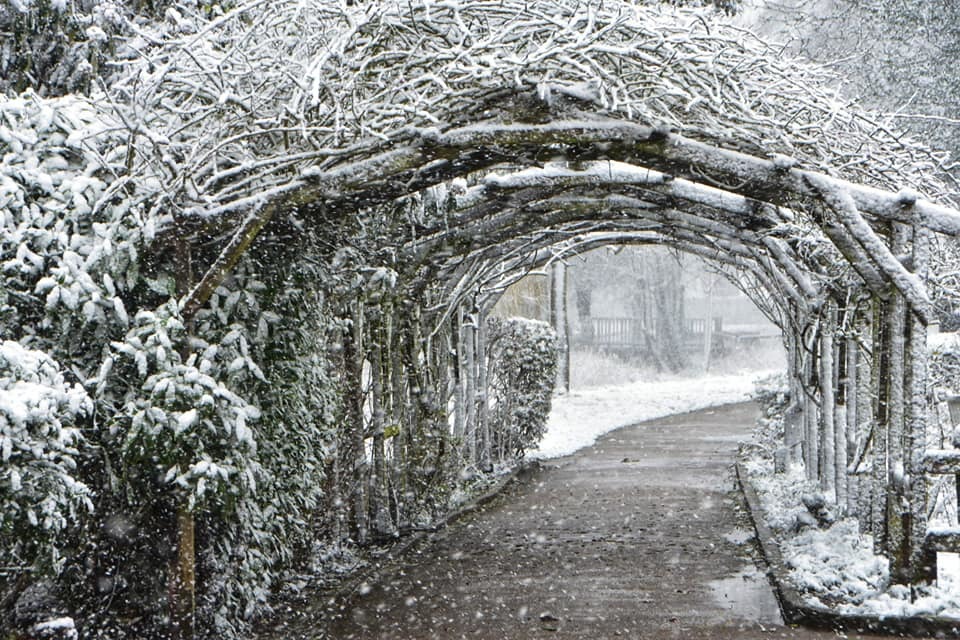Looking like a Christmas scene - Julie Linge-Smith travelled to Priory Park and saw snow gathering on the top of this archway