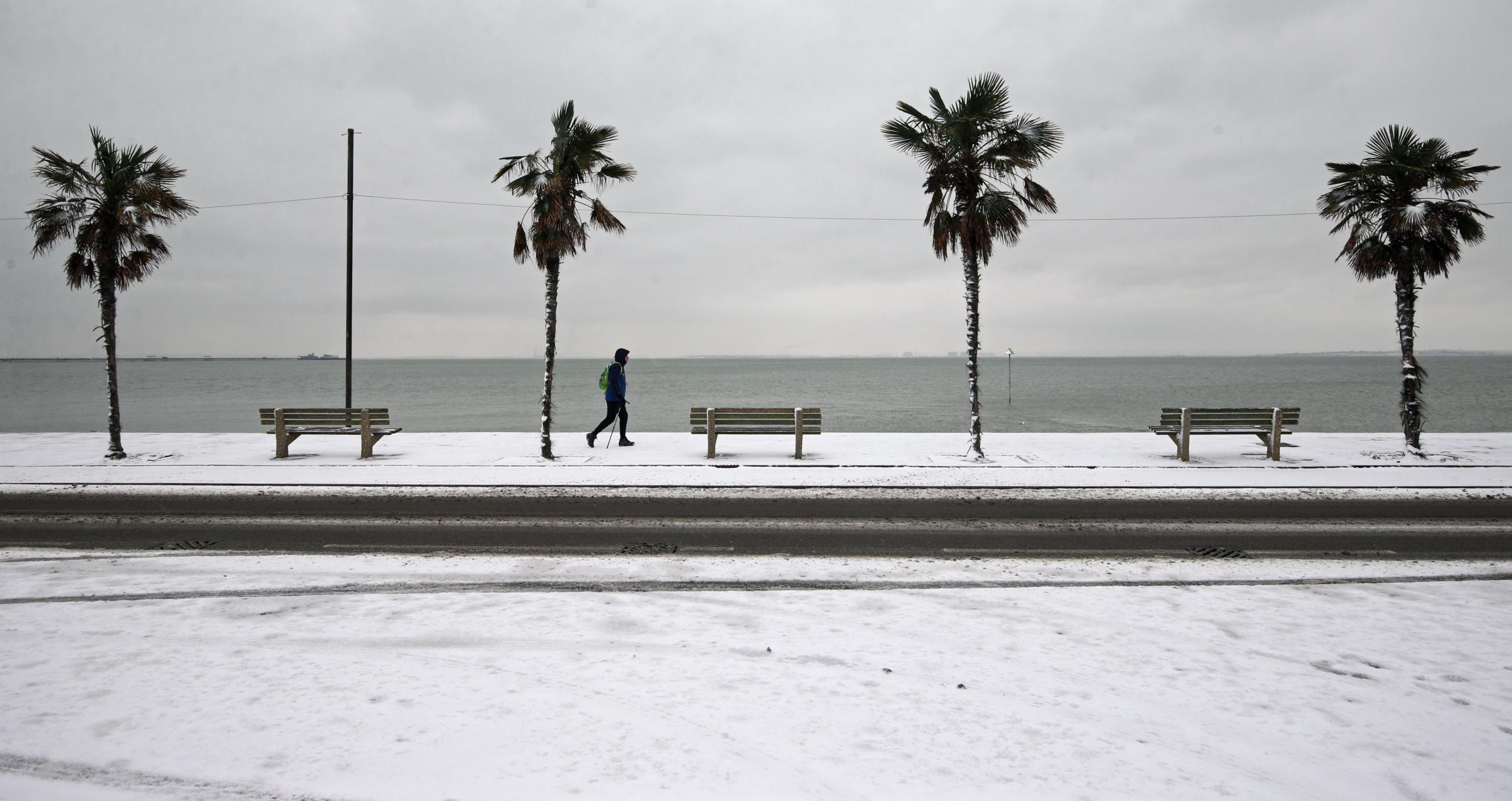 A pedestrian walks past palm trees on the snow-covered seafront at Southend-on-Sea in Essex, after the Met Office issued a severe amber snow warnings for London and south-east England, where heavy snow is likely to cause long delays on roads and with rail
