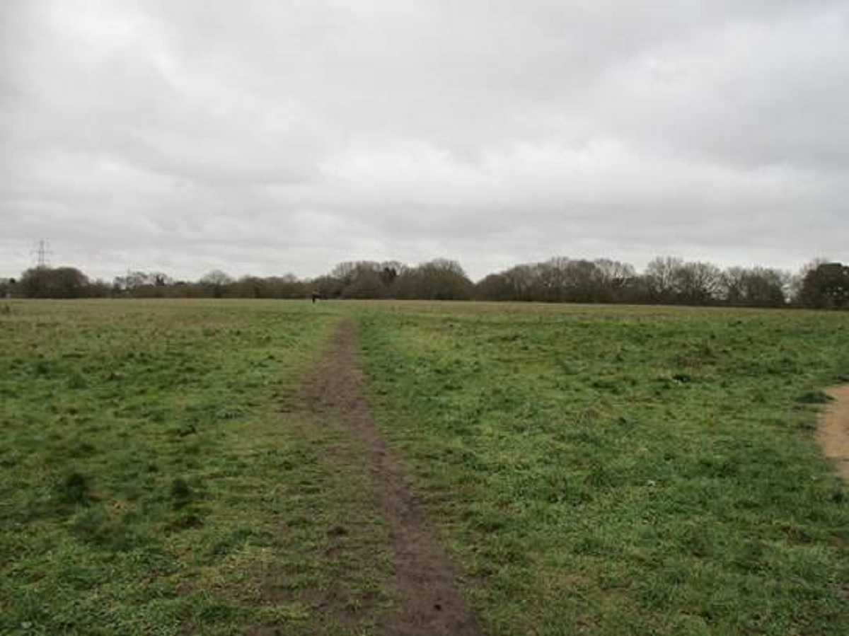 Unspoilt – the open space of Middlewick, as viewed from Abbot’s Road, where there are proposals to build 1,000 houses, creating an urban sprawl all the way from Mersea Road to Old Heath