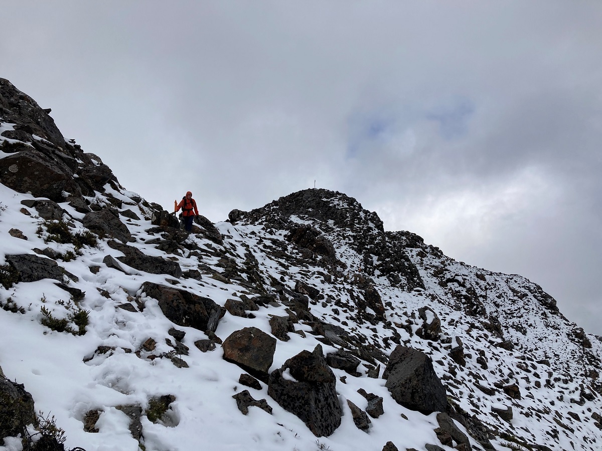 Snow patrol - Mount Rintoul, in the Richmond Ranges