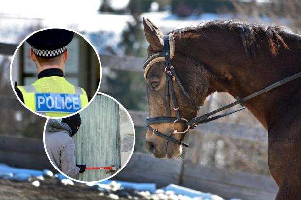 Horse riding equipment worth tens of thousands of pounds stolen in burglary