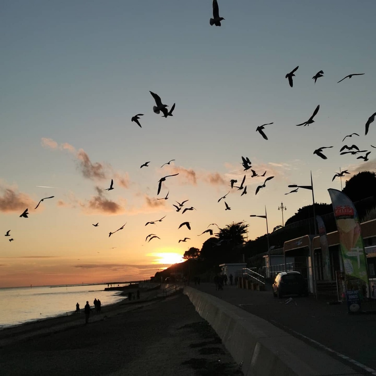 Fly by night - Tracy Boss Clarke captured these gulls dominating the Clacton skyline