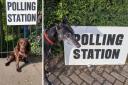 Send us your photos of pups waiting at polling stations across Essex