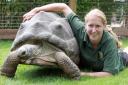 Hanna Slaney with Hermoine the Giant Tortoise at the enclosure that opened in 2012 (Picture: Nigel Brown)