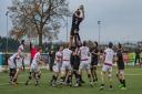 High rise - Colchester Rugby Club take on Sidcup Picture: JAMCEL PHOTOS