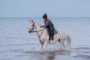 An aquatic horse ride, captured by Kevin Jay