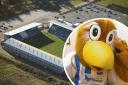 Here's how you can become Colchester United's beloved mascot Eddie the Eagle